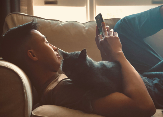 Man On Couch With Cat Looking At Phone Man On Couch With Cat Looking At Phone