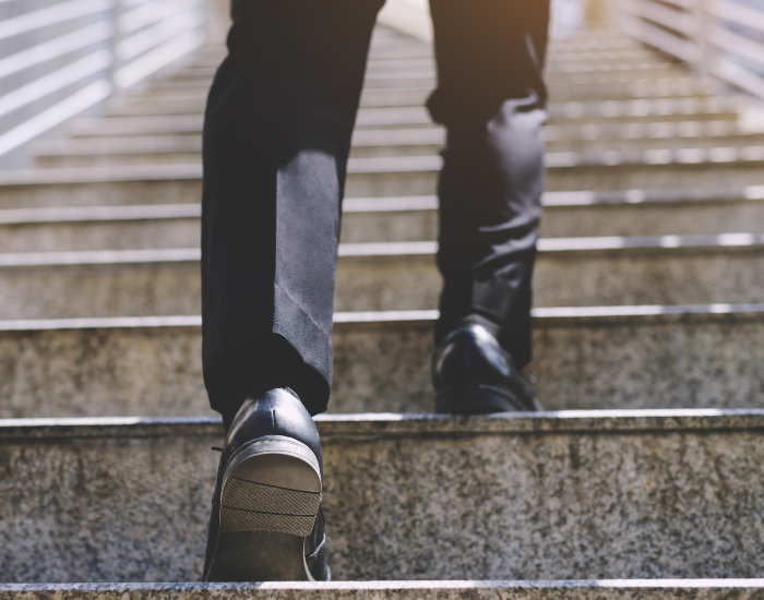Person Climbing Stairs